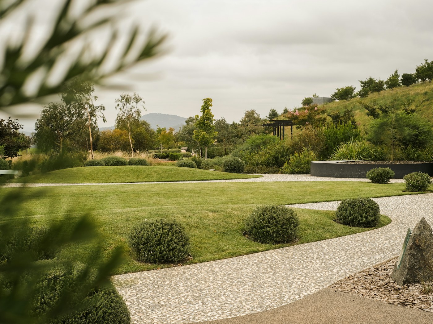 A carefully maintained landscaped lawn with healthy grass and plantings